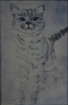 Grsse: 100cm x 65cm