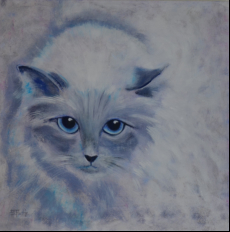 Grsse: 80cm x 80cm